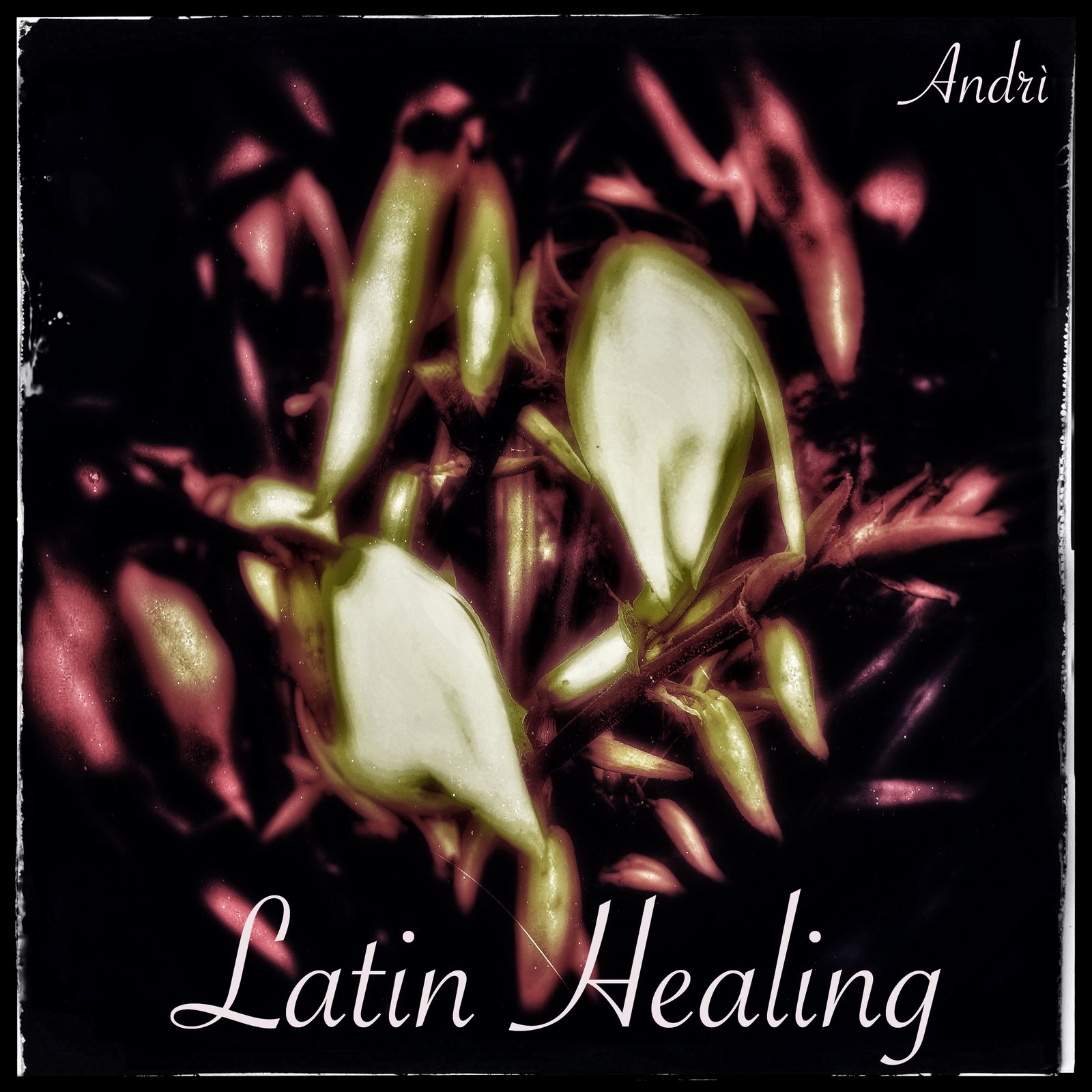 Latin Healing cover