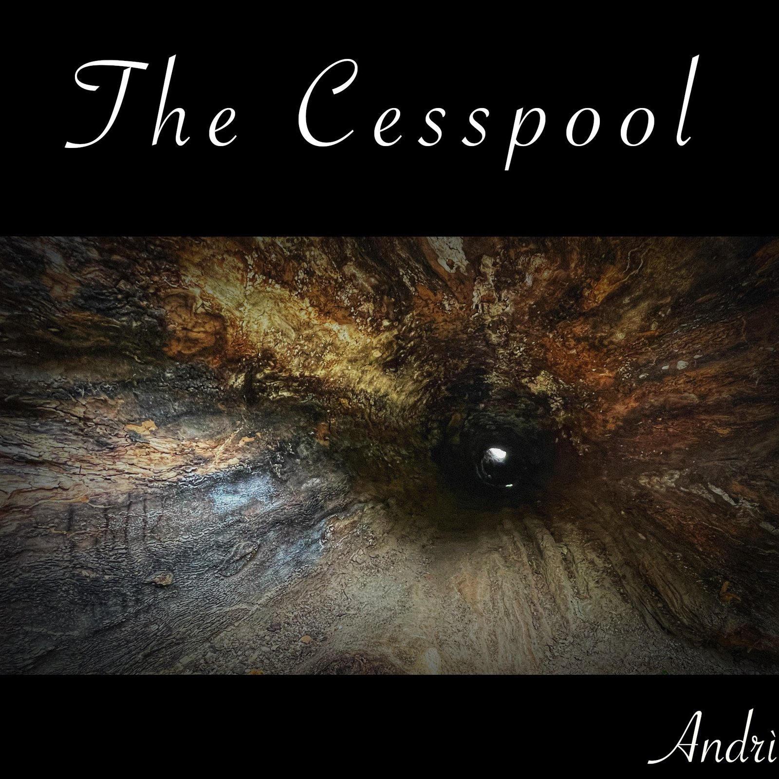 The Cesspool cover
